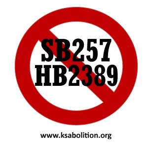 SB257HB2389 Sticker